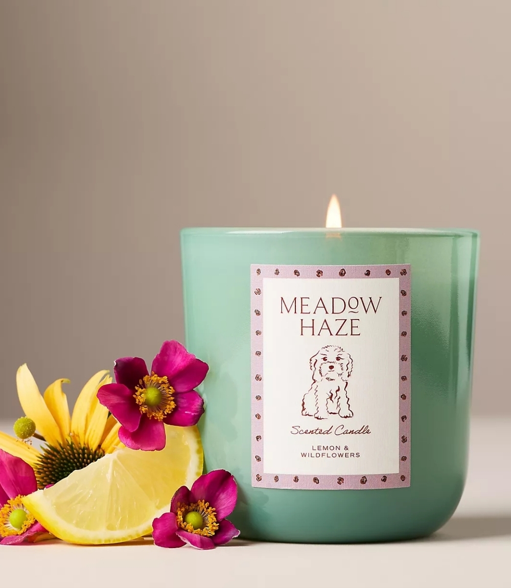 Anthropologie x Papier Fresh Meadow Haze Doodle Glass Candle
